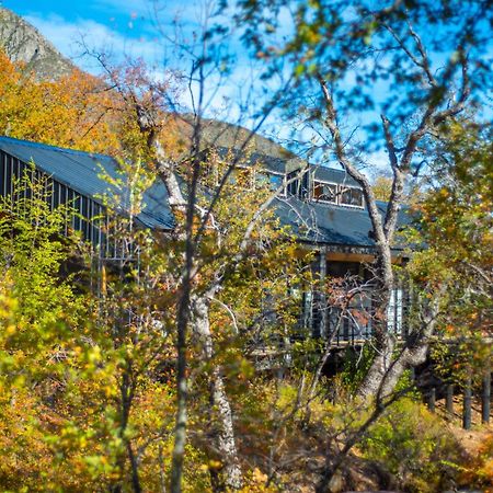 Vivelodge Las Trancas Kültér fotó