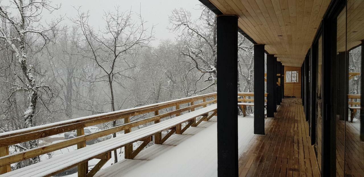 Vivelodge Las Trancas Kültér fotó